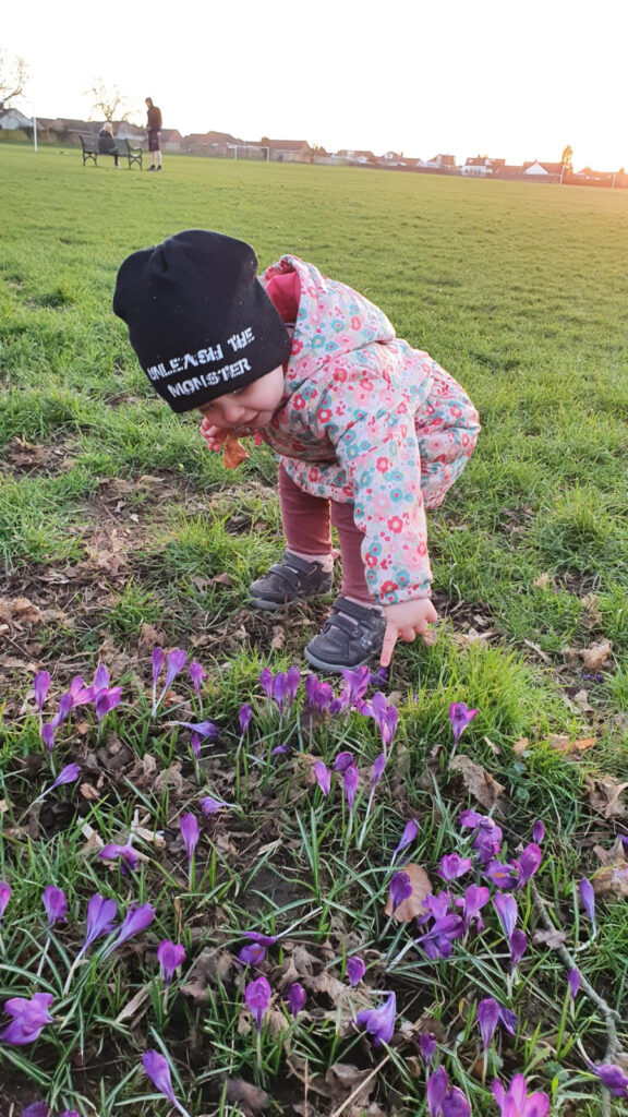 Little girls points at spring flowers