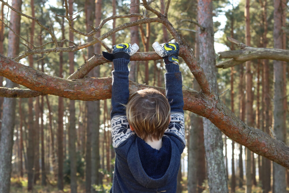 boy is hanging from the branch of a tree