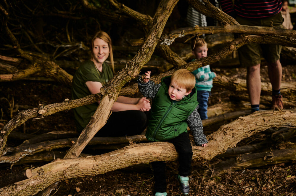 children climbing on the trees