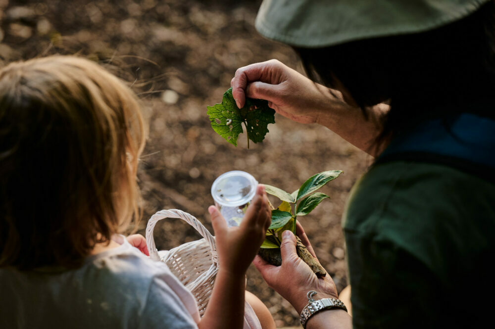 Willow Den staff and child look at bugs in a container